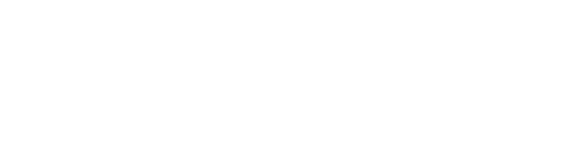 Dijipin
